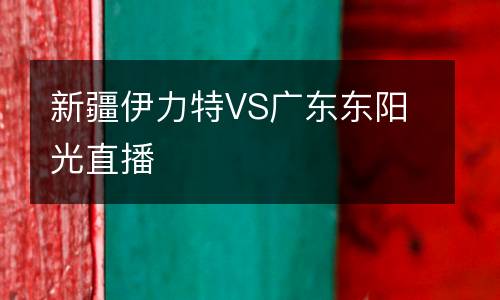 新疆伊力特VS廣東東陽(yáng)光直播